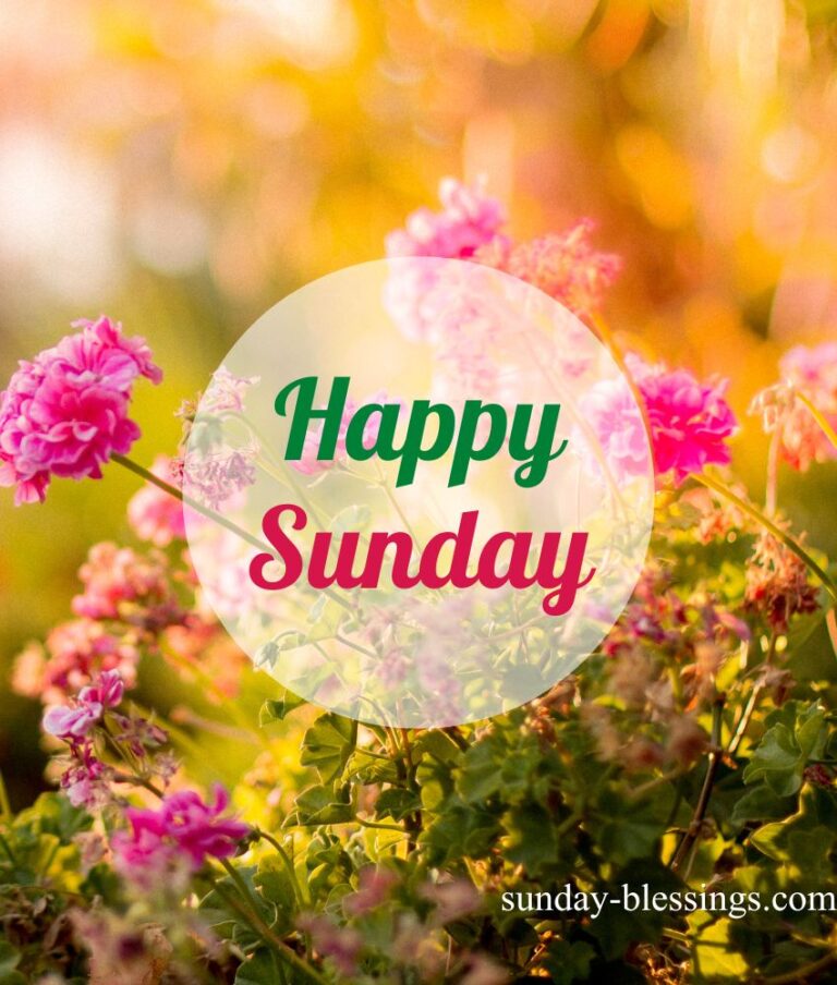 50+ Good Morning Sunday Images To Brighten Your Day 21 Good Morning Happy Sunday Image